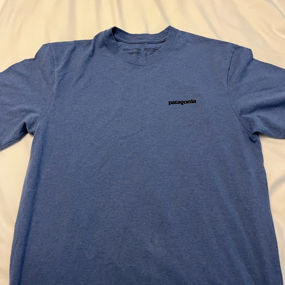 Patagonia shirt